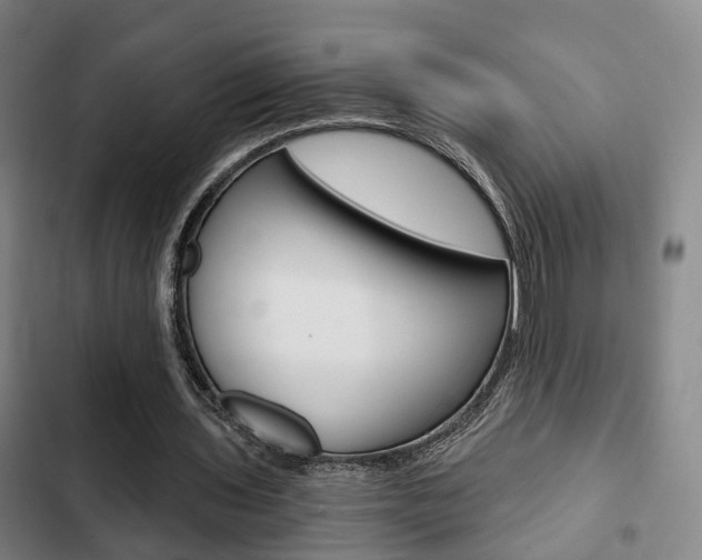 X0000103220435200808280930
