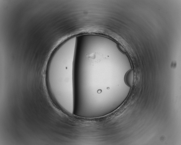 X0000103220438200808280930