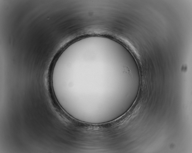 X0000103220439200808280930