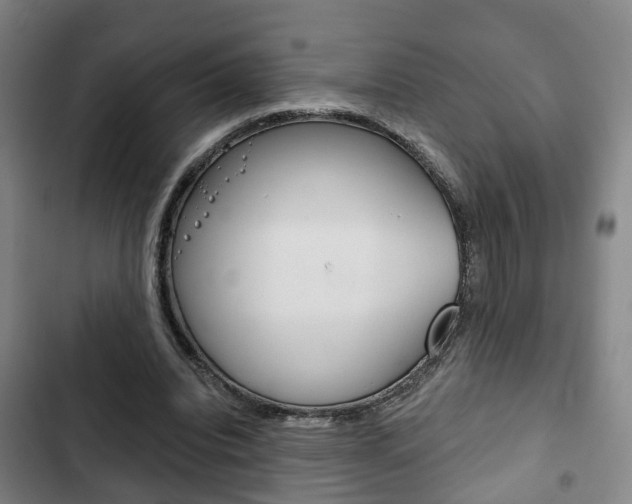 X0000103220440200808280930