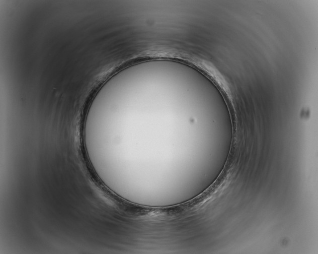 X0000103220441200808280930