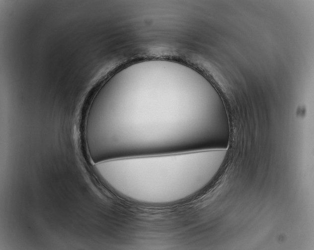 X0000103220443200808280930