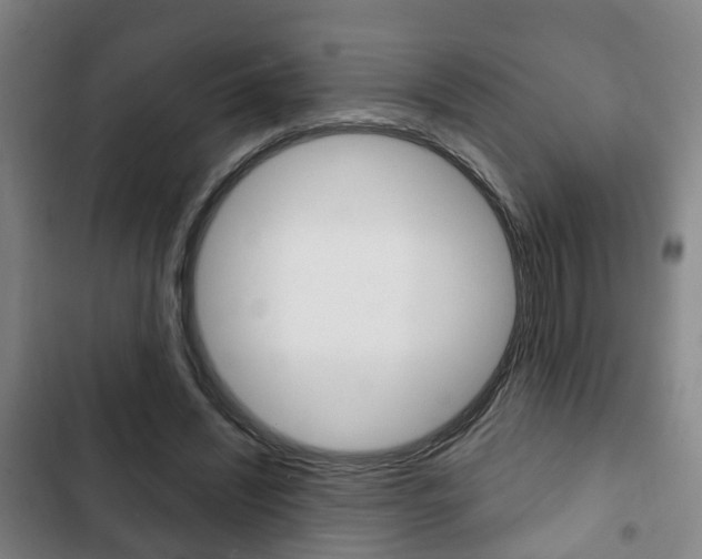 X0000103220444200808280930