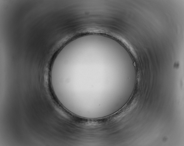 X0000103220445200808280930