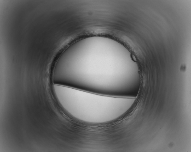 X0000103220447200808280930