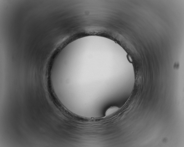 X0000103220448200808280930