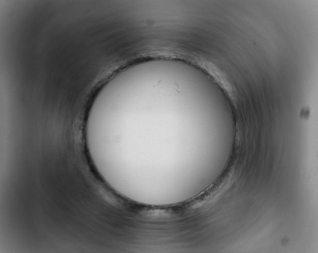 X0000103220449200808280930