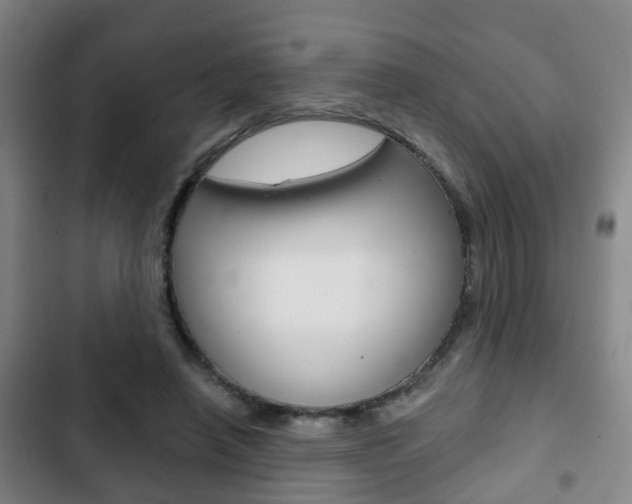X0000103220450200808280930