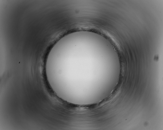 X0000103220451200808280930