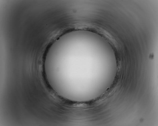 X0000103220452200808280930