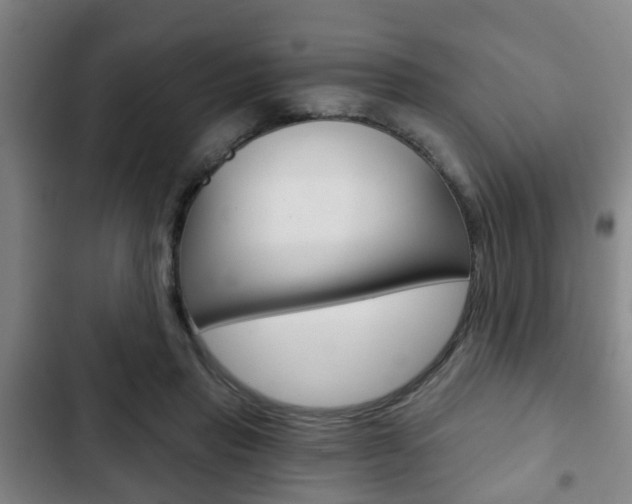 X0000103220453200808280930