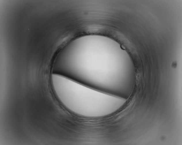 X0000103220454200808280930