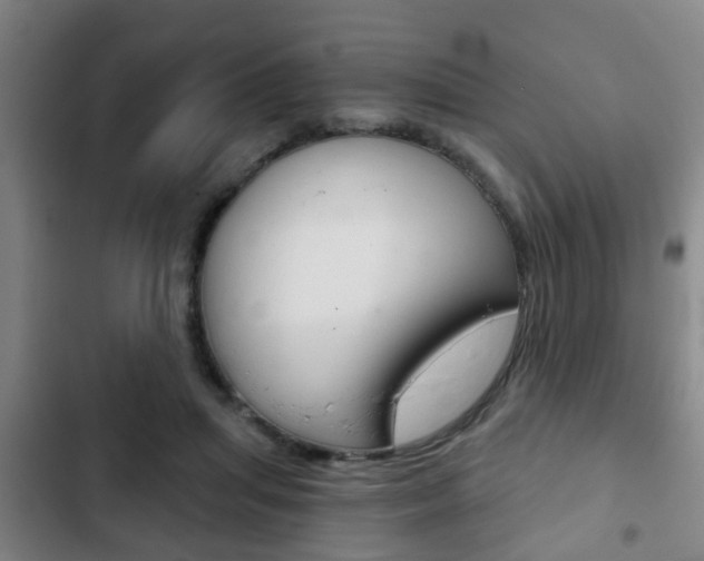 X0000103220455200808280930