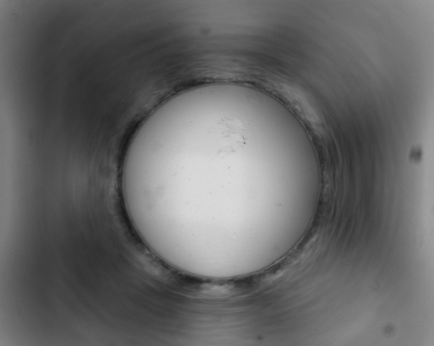 X0000103220457200808280930