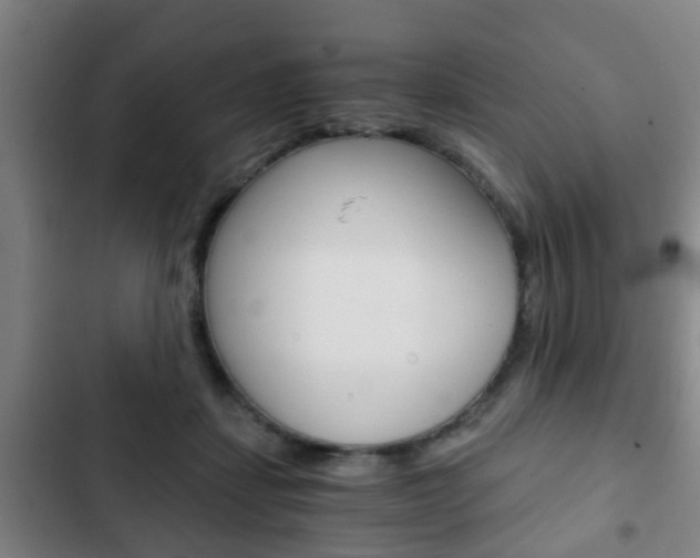 X0000103220459200808280930