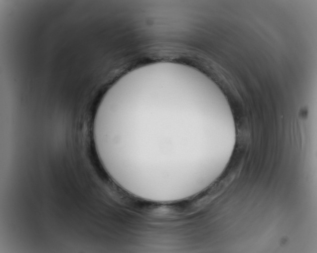 X0000103220460200808280930