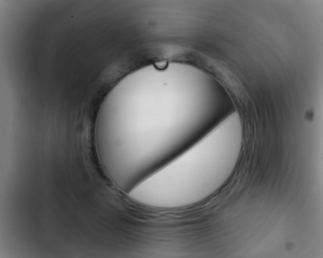 X0000103220461200808280930
