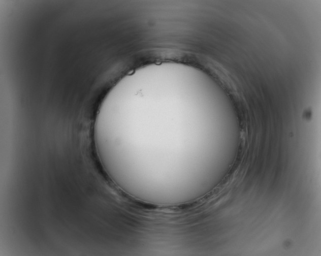 X0000103220462200808280930