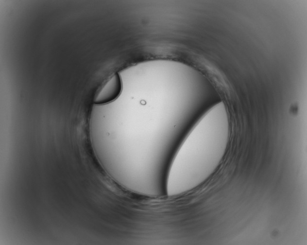 X0000103220465200808280930