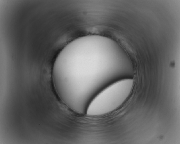 X0000103220466200808280930