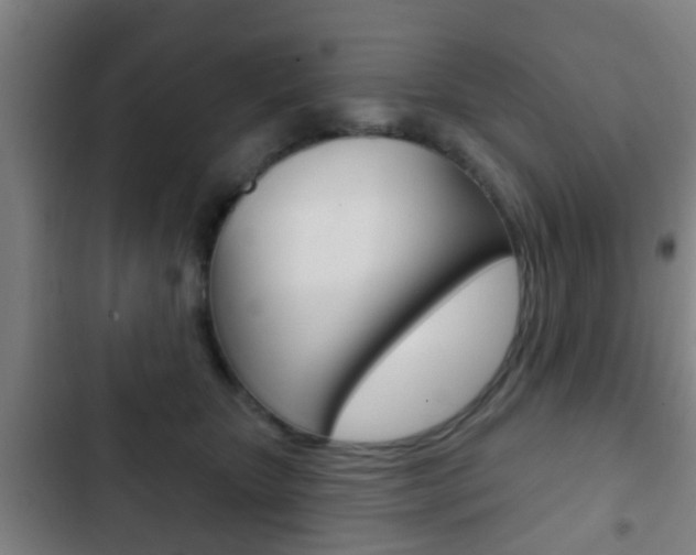 X0000103220467200808280930
