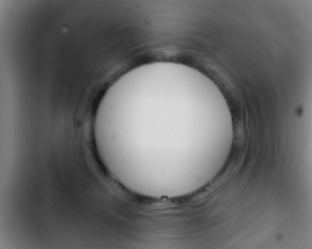 X0000103220468200808280930