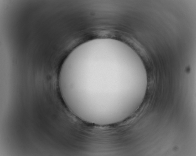 X0000103220469200808280930