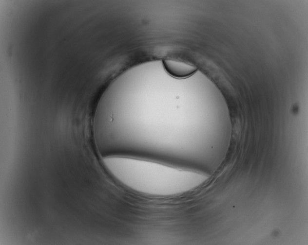 X0000103220470200808280930