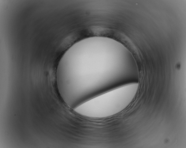 X0000103220471200808280930