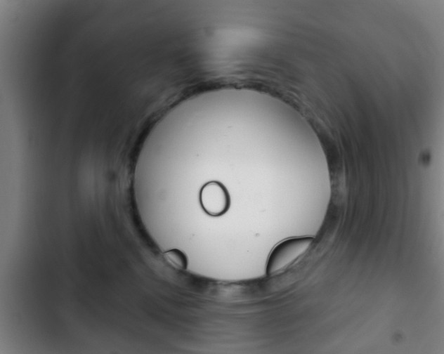 X0000103220472200808280930