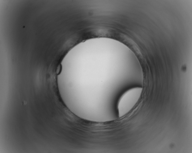 X0000103220473200808280930