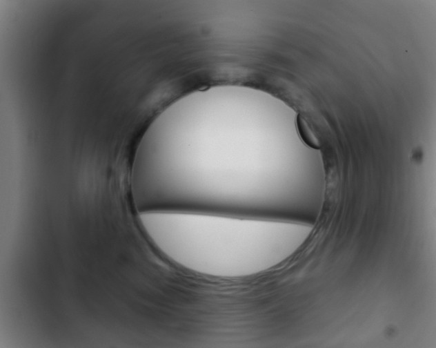 X0000103220474200808280930