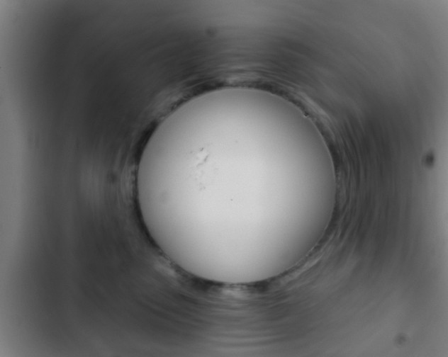 X0000103220475200808280930