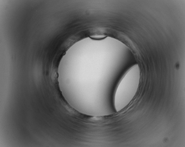 X0000103220477200808280930