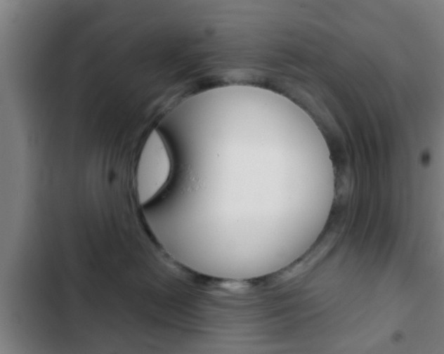 X0000103220478200808280930