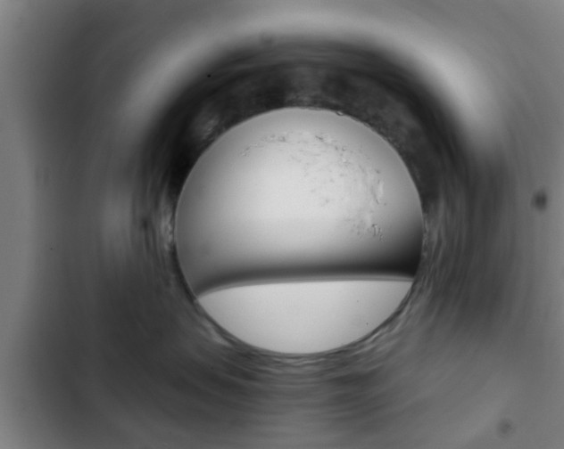 X0000103220479200808280930