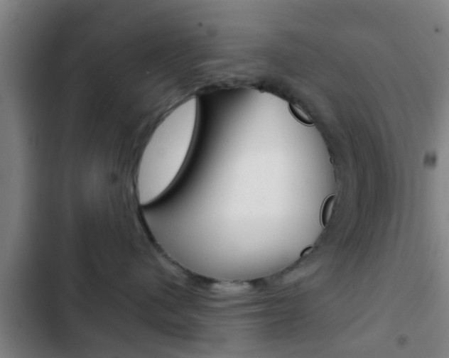 X0000103220480200808280930
