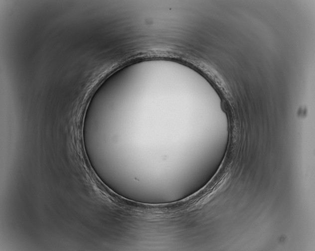 X0000103220481200808280930