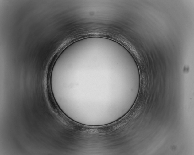 X0000103220482200808280929