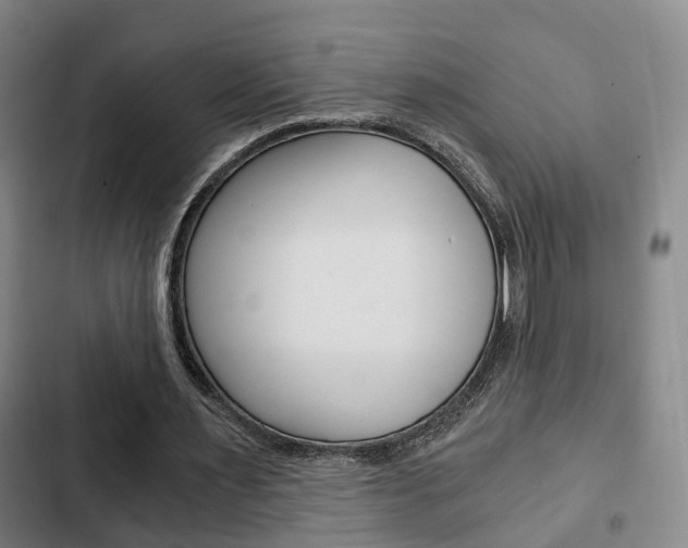 X0000103220483200808280929