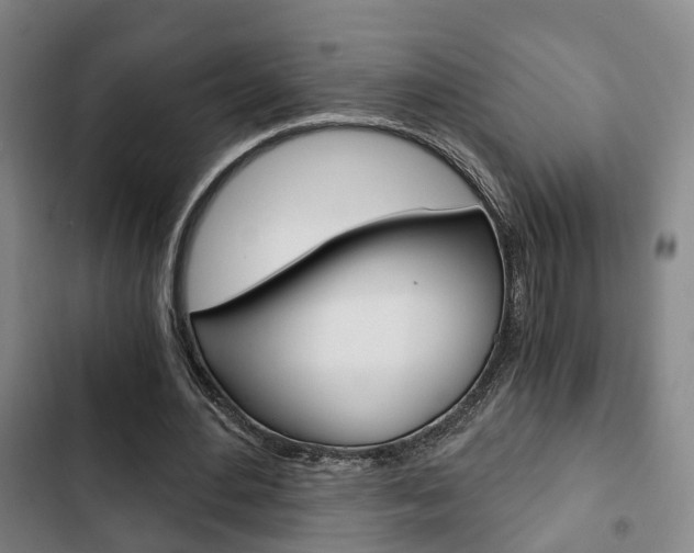 X0000103220484200808280929