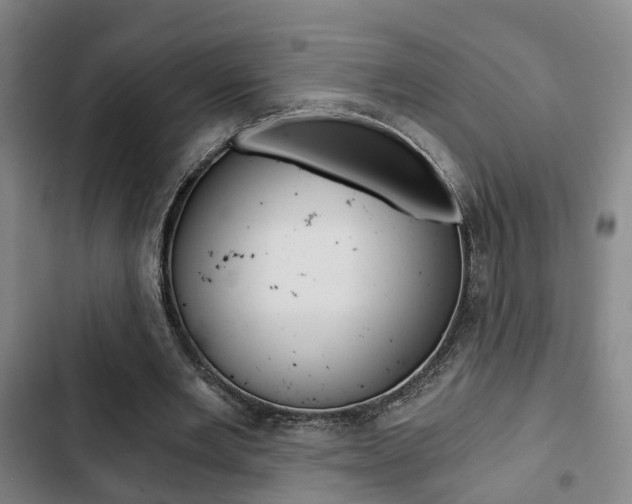 X0000103220485200808280929