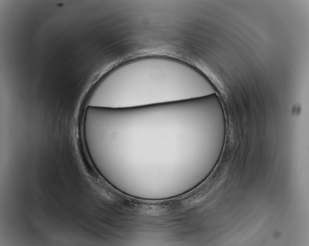 X0000103220486200808280929