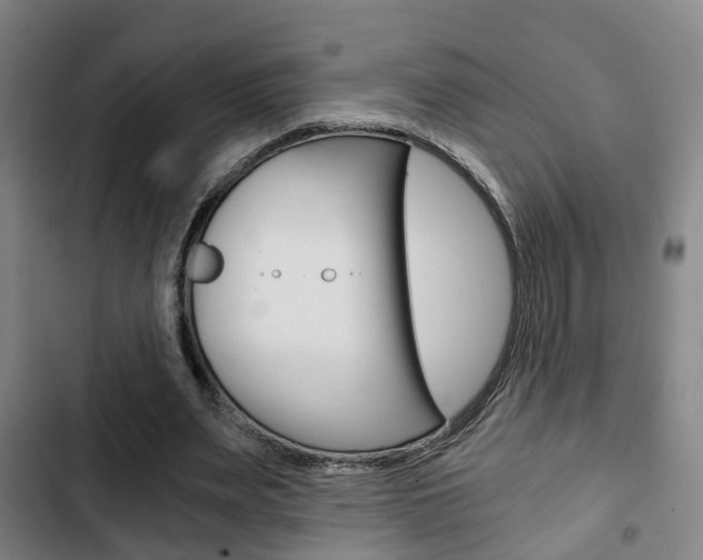 X0000103220487200808280929