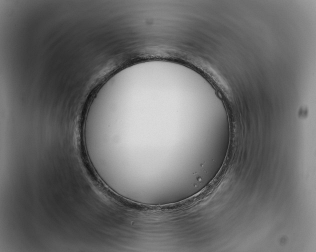 X0000103220489200808280929