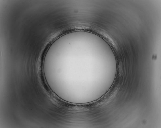X0000103220490200808280929
