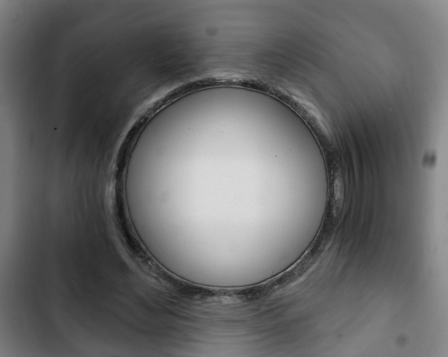 X0000103220492200808280929