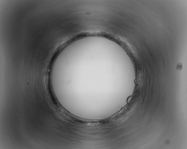 X0000103220495200808280929