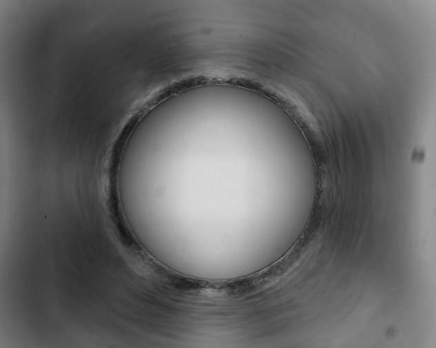 X0000103220496200808280929