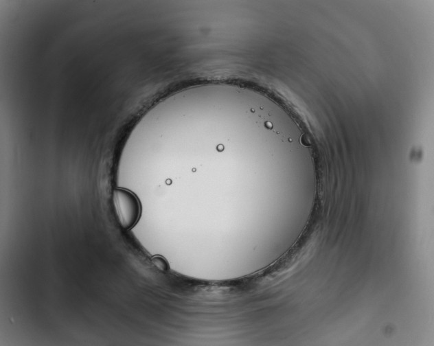 X0000103220497200808280929